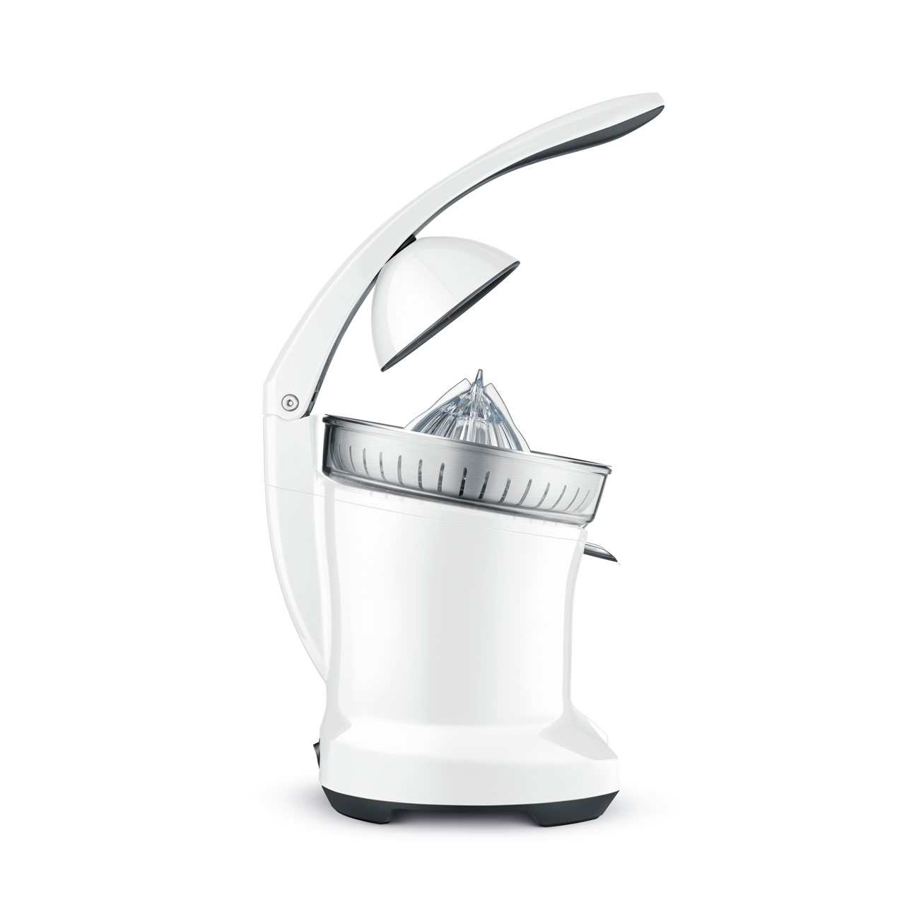 the Citrus Press